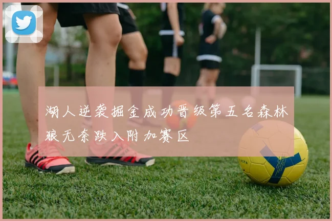 湖人逆袭掘金成功晋级第五名森林狼无奈跌入附加赛区